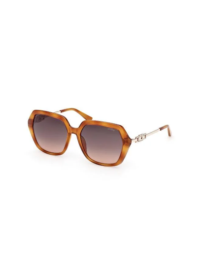 GUESS  oversized sunglasses for Women | Best Price UAE
